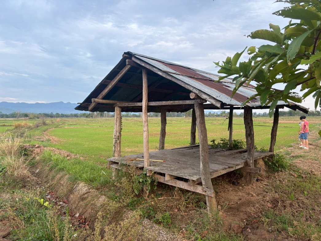 รูป ขายที่นาวิวภูเขา ใกล้แหล่งชุมชน - รูปที่ 4/7