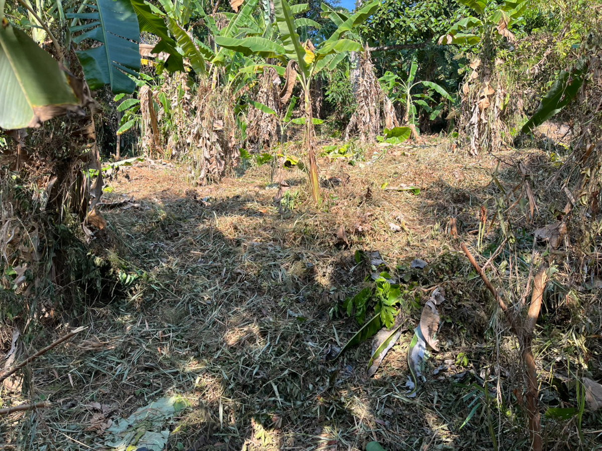 picture ✨ Premium Sea View Land for Sale on Chalong Hill, Phuket ✨ - 4/4