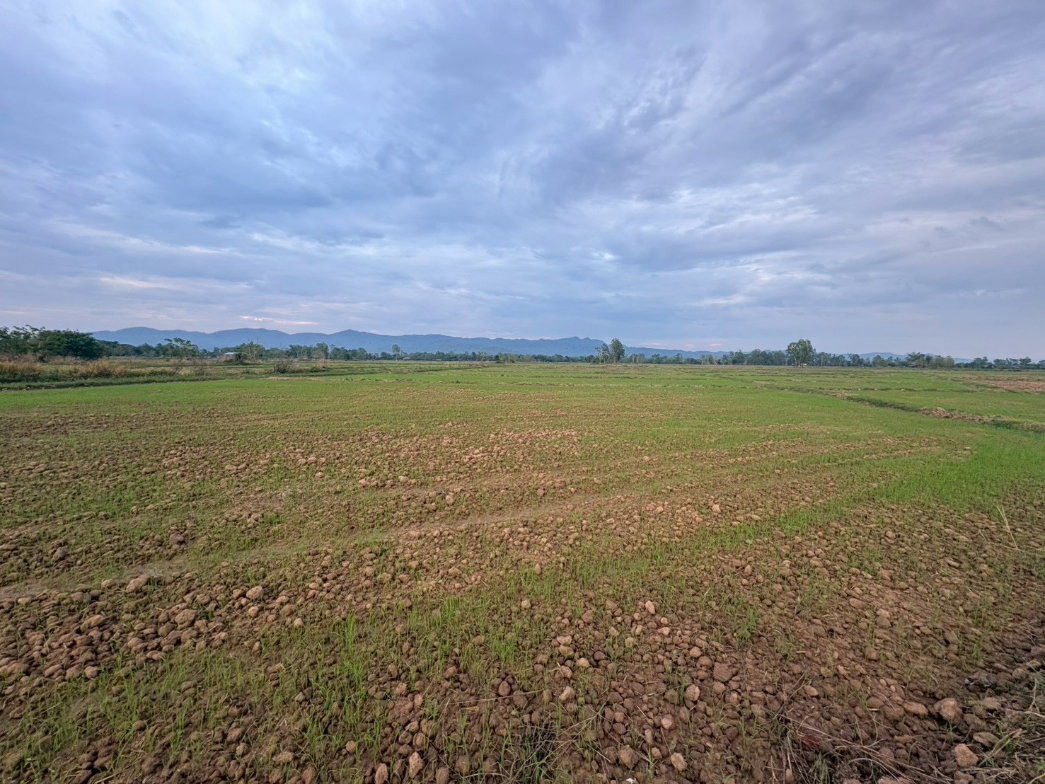 รูป ขายที่นาวิวภูเขา ใกล้แหล่งชุมชน - รูปที่ 3/7