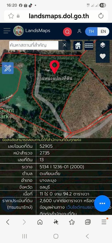 รูป ขายที่ดินสวนเศรษฐกิจ พร้อมผลผลิตและไม้มีมูลค่าในอนาคต พร้อมสวน 11 ไร่ 92 ตารางวา ทำเล ตะเคียนเตี้ย บางละมุง ชลบุรี ราคาดี - รูปที่ 10/10