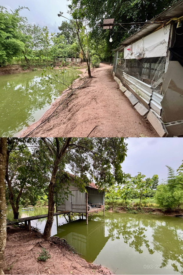 รูป ขายบ้านสวน สวนผลไม้ ใกล้วัดป่าบ้านตาด เมืองอุดร - รูปที่ 17/21