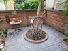 listing thumbnail image 18