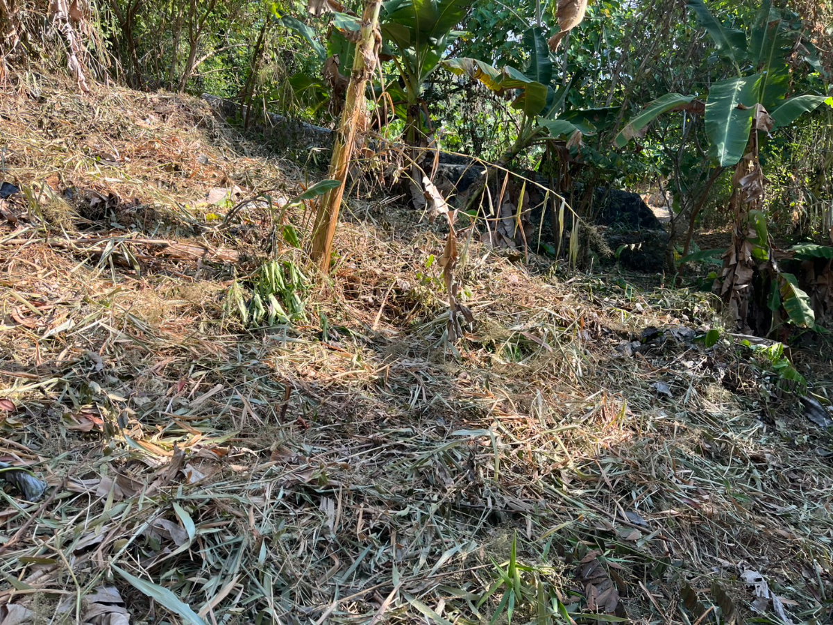 picture ✨ Premium Sea View Land for Sale on Chalong Hill, Phuket ✨ - 2/4