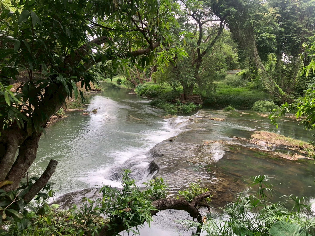 รูป ขายที่ดินทำเลติดถนน ใกล้ภูเขาและน้ำตก ธารใจใส ต.พญาเย็น ปากช่อง นครราชสีมา รวม 32 ไร่ เพียงไร่ละ 1.6 ล้านบาท ต่อรองได้ - รูปที่ 10/11