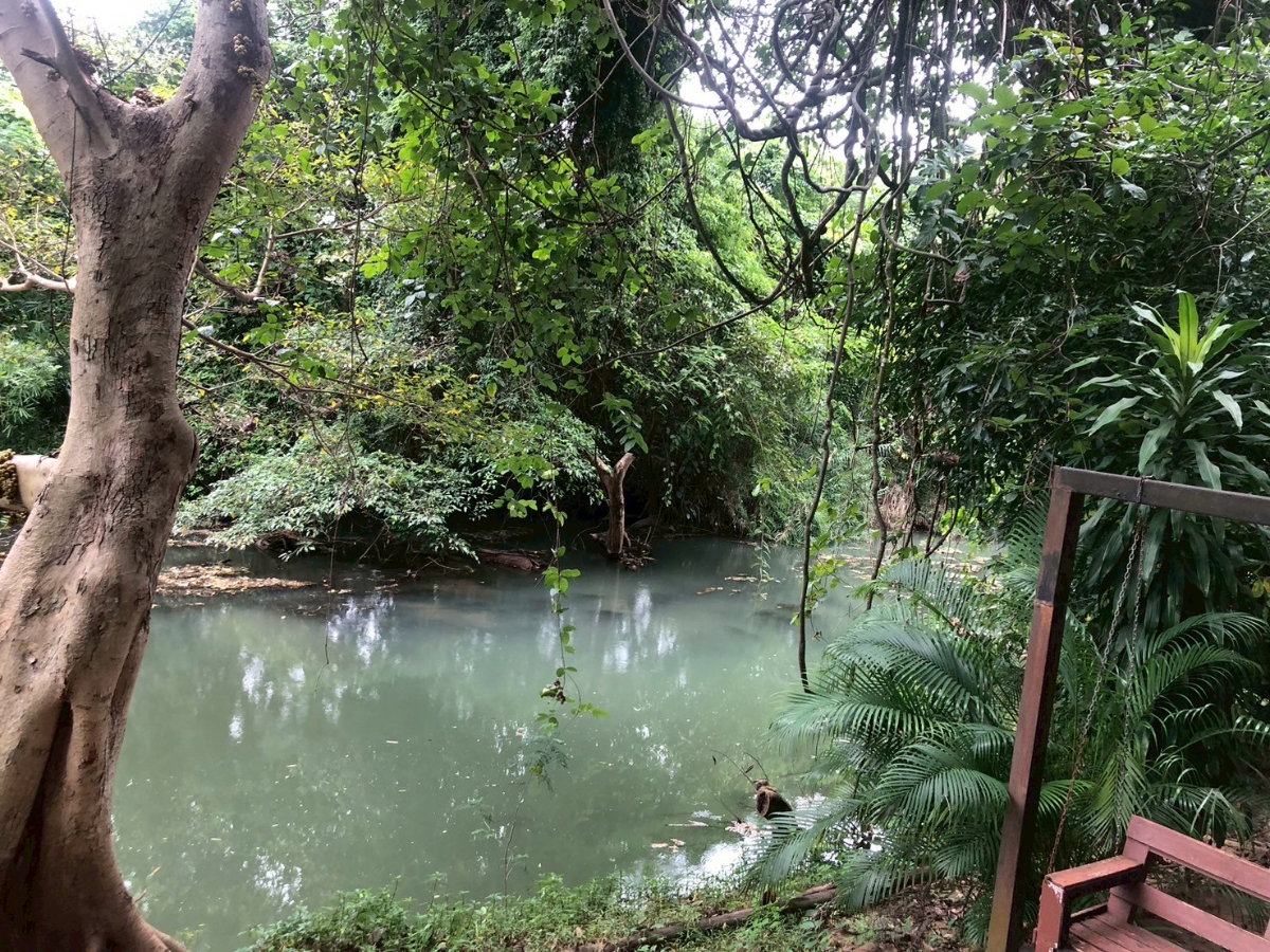 รูป ขายที่ดินทำเลติดถนน ใกล้ภูเขาและน้ำตก ธารใจใส ต.พญาเย็น ปากช่อง นครราชสีมา รวม 32 ไร่ เพียงไร่ละ 1.6 ล้านบาท ต่อรองได้ - รูปที่ 11/11