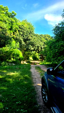 Land for sale Bang Lamung Chonburi : Economic Plantation Land for Sale – Productive Orchard & Valuable Timber Investment  Takhian Tia, Bang Lamung, Chonburi   11 Rai 92 Sq. Wah 