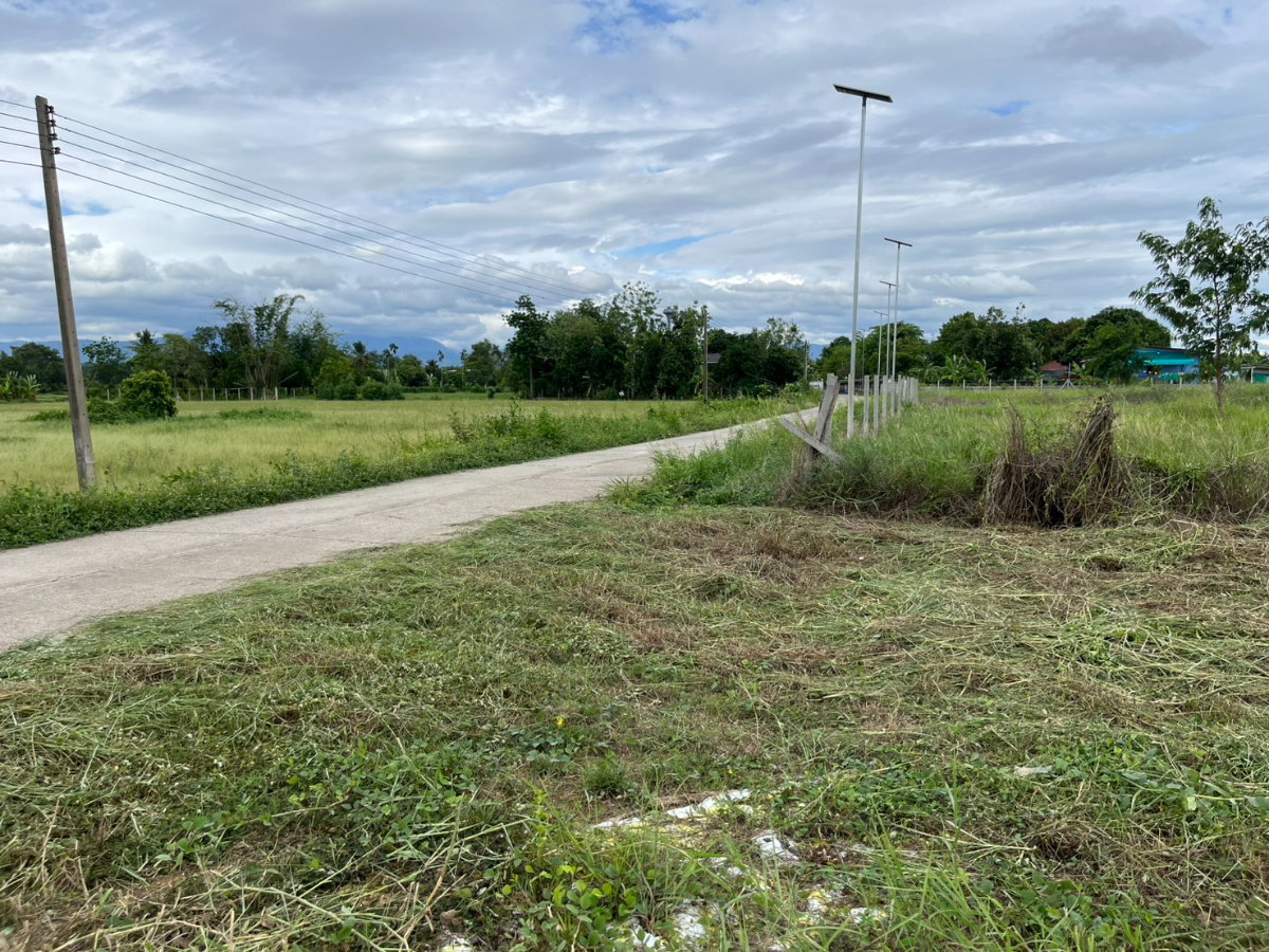 รูป ขายที่ดิน 143 ตร.ว. ถมแล้วเต็มพื้นที่ มีโฉนด ตำบลสาริกา ด้านหน้าติดนถนคอนกรีต ขายถูก - รูปที่ 17/18