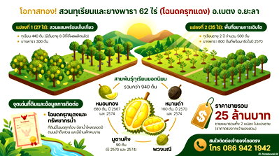 ที่ดิน เบตง ยะลา : ขายที่ดิน 62 ไร่ (ครุฑแดง) ในอำเภอเบตง จังหวัดยะลา