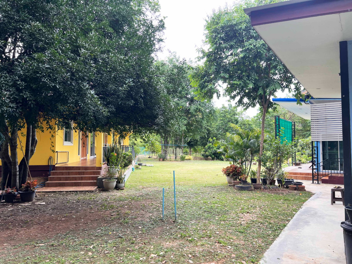 picture Private Oasis: 2 Houses with Orchard & Garden on 2-1-66 Rai in Tha Yang - 9/12