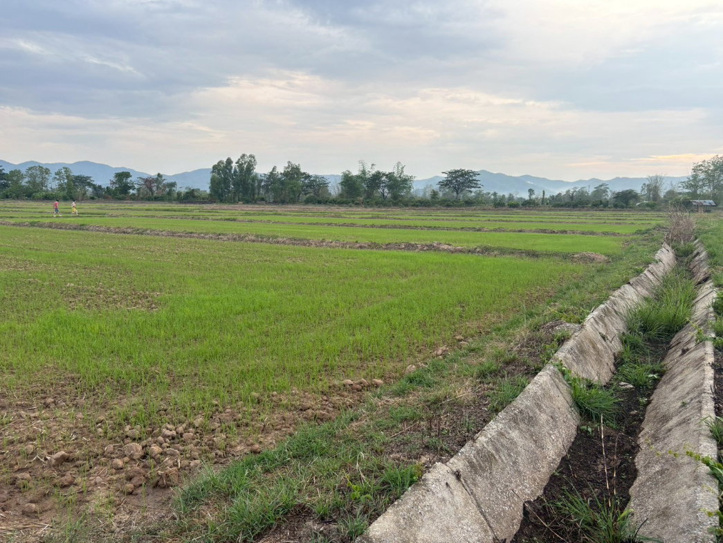 รูป ขายที่นาวิวภูเขา ใกล้แหล่งชุมชน - รูปที่ 6/7