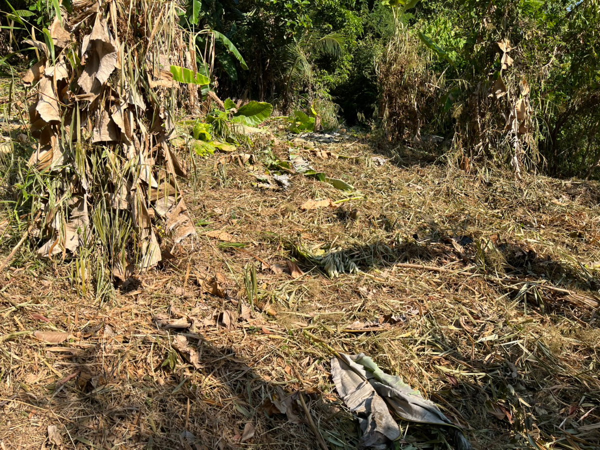 picture ✨ Premium Sea View Land for Sale on Chalong Hill, Phuket ✨ - 3/4