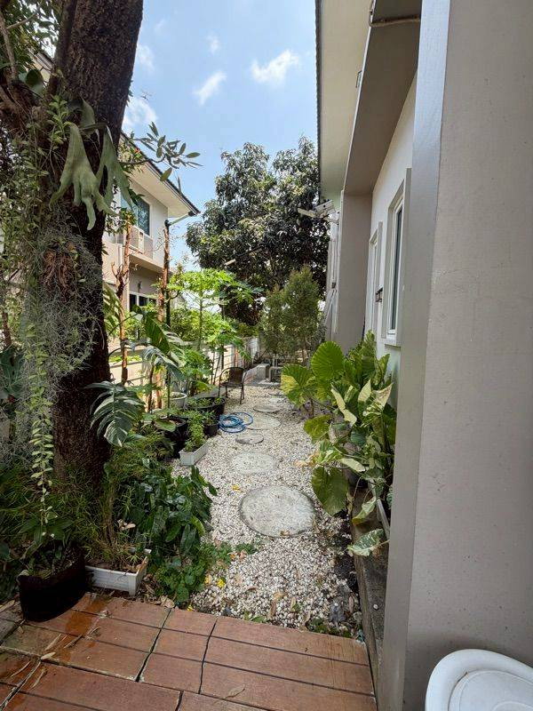 picture For Sell Benyapa Casa Motorway Suvarnabhumi-Lat Krabang - 4/18