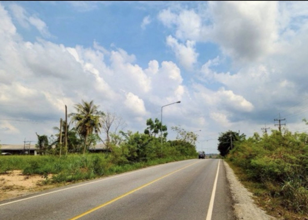 รูป ที่ดินอุตสาหกรรม ผังสีม่วงลายจุดขาว – นิคมพัฒนา ระยอง - รูปที่ 3/4