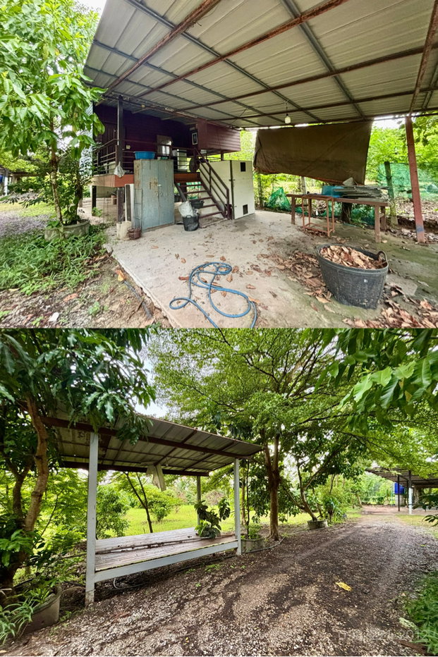 รูป ขายบ้านสวน สวนผลไม้ ใกล้วัดป่าบ้านตาด เมืองอุดร - รูปที่ 12/21