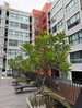 listing thumbnail image 17