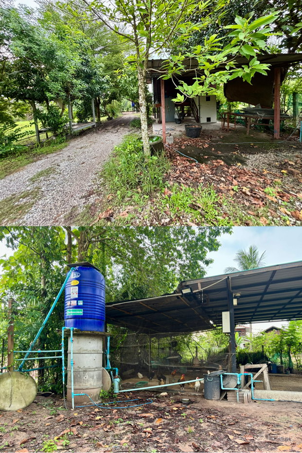 รูป ขายบ้านสวน สวนผลไม้ ใกล้วัดป่าบ้านตาด เมืองอุดร - รูปที่ 13/21