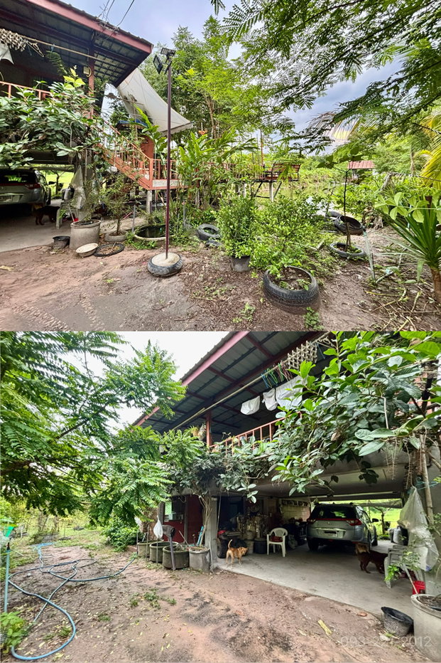 รูป ขายบ้านสวน สวนผลไม้ ใกล้วัดป่าบ้านตาด เมืองอุดร - รูปที่ 3/21