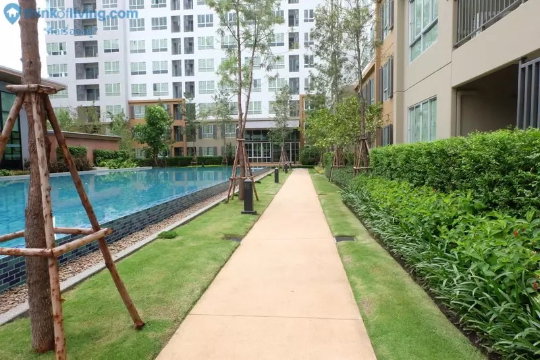 picture 🔥🔥Condo for Rent (D Condo Nim CNX) 1 bedroom 11,000.-🔥🔥 - 15/18