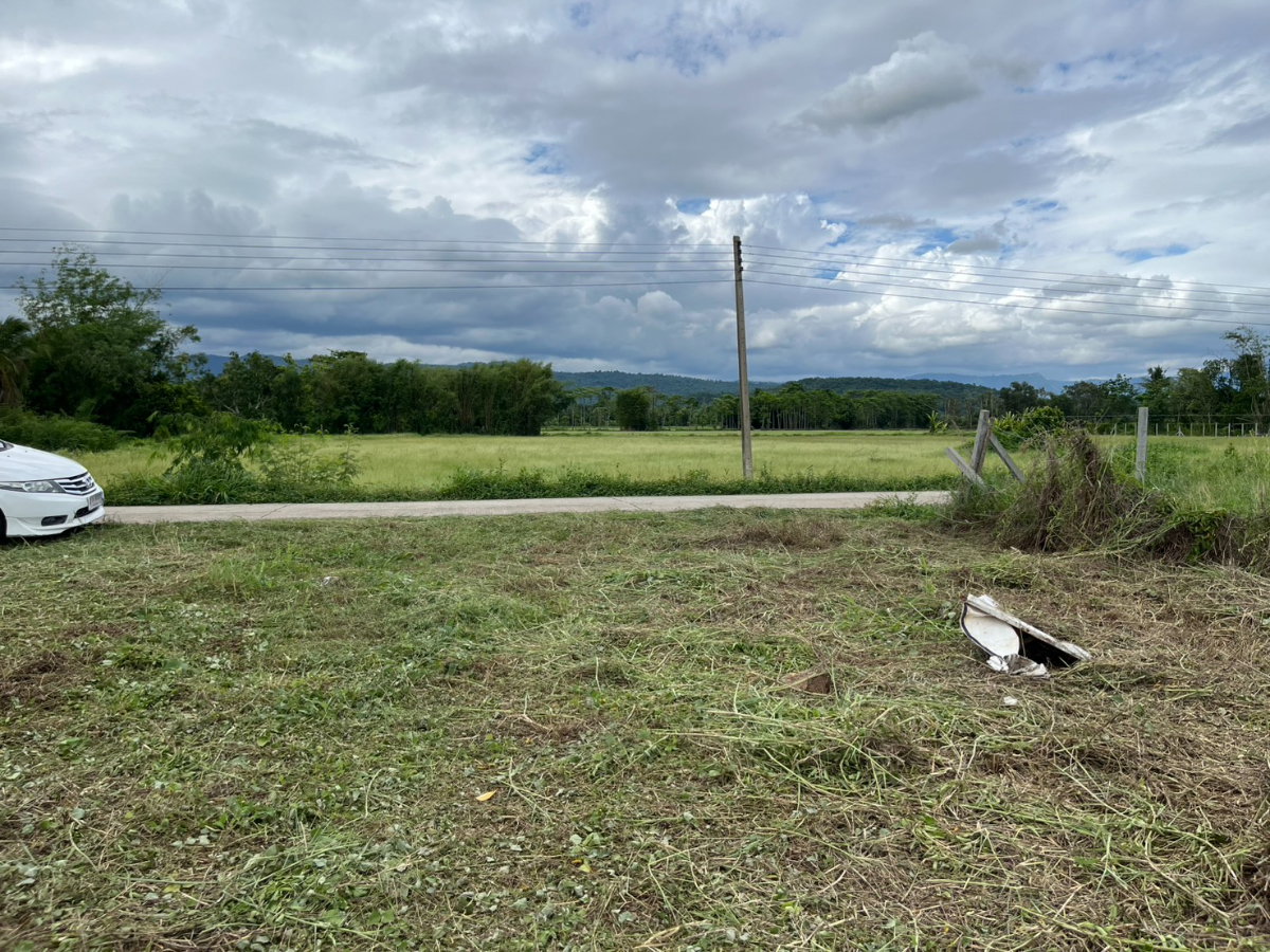 รูป ขายที่ดิน 143 ตร.ว. ถมแล้วเต็มพื้นที่ มีโฉนด ตำบลสาริกา ด้านหน้าติดนถนคอนกรีต ขายถูก - รูปที่ 12/18