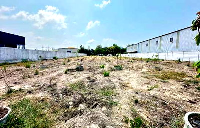 Land for sale Phraeksa Road :  Land for sale, leveled and ready for construction. Beautiful plot, prime location in Phraeksa Soi 12, Samut Prakan Province. 