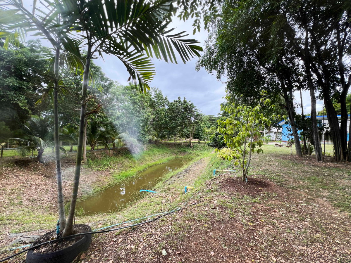 picture Private Oasis: 2 Houses with Orchard & Garden on 2-1-66 Rai in Tha Yang - 6/12