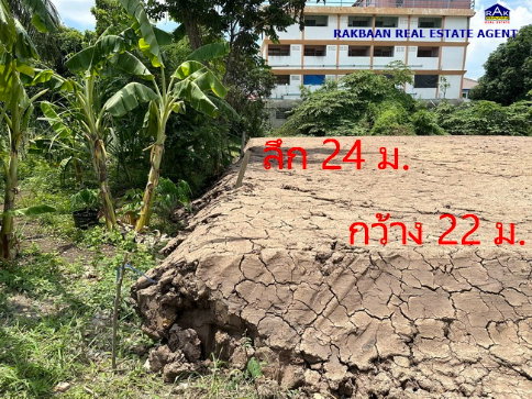 รูป ขายที่ดินซอยจุลินท์จัดสรร 4 บางบัวทอง 131 ตร.ว. แปลงสวย 22x24 เมตร ถมสูงกว่าถนน เหมาะสร้างโกดัง,สร้างบ้านพัก - รูปที่ 4/9