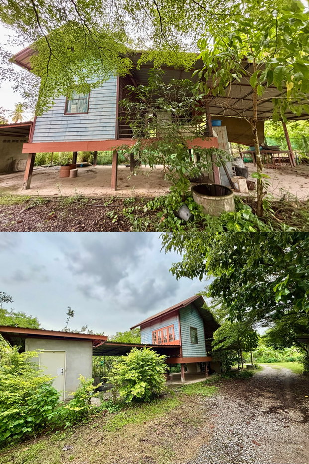 รูป ขายบ้านสวน สวนผลไม้ ใกล้วัดป่าบ้านตาด เมืองอุดร - รูปที่ 10/21