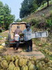 listing thumbnail image 5