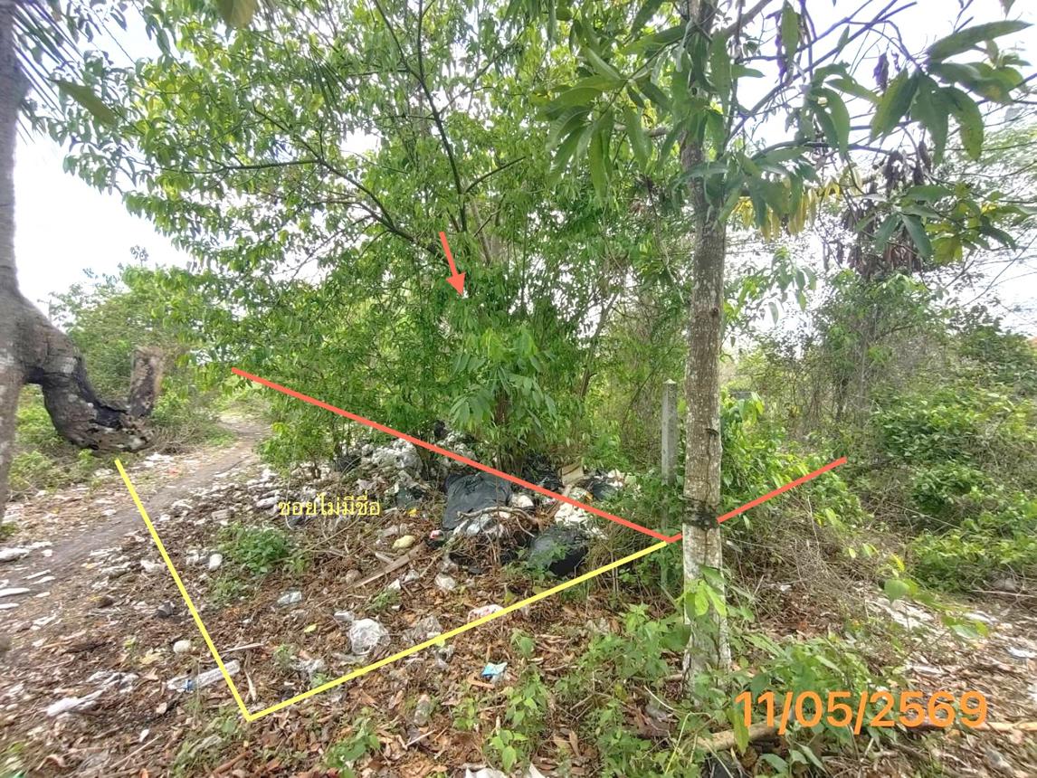 picture LAND 150 Sq.w. Muang Krabi Krabi for 997,000 - 7/14