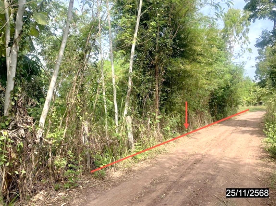picture LAND 2394 Sq.w. Chum Phae Khon Kaen for 958,000 - 7/14