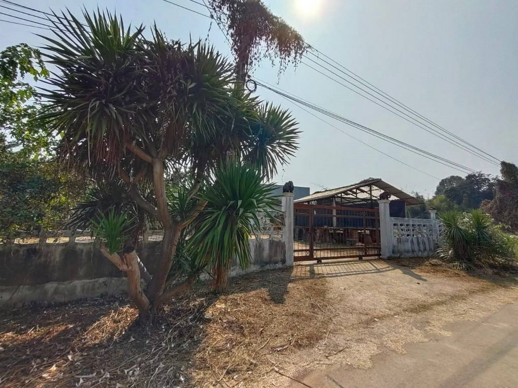 picture Call : 080-154-2361 Land For Sale - 2/13