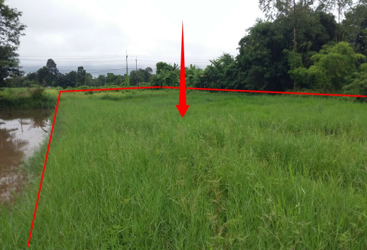 รูป ที่ดินว่างเปล่า 1551.3 ตร.วา โครงการ บ้านผักบุ้ง อุดรธานี บ้านผือ อุดรธานี 5.1M - รูปที่ 5/6