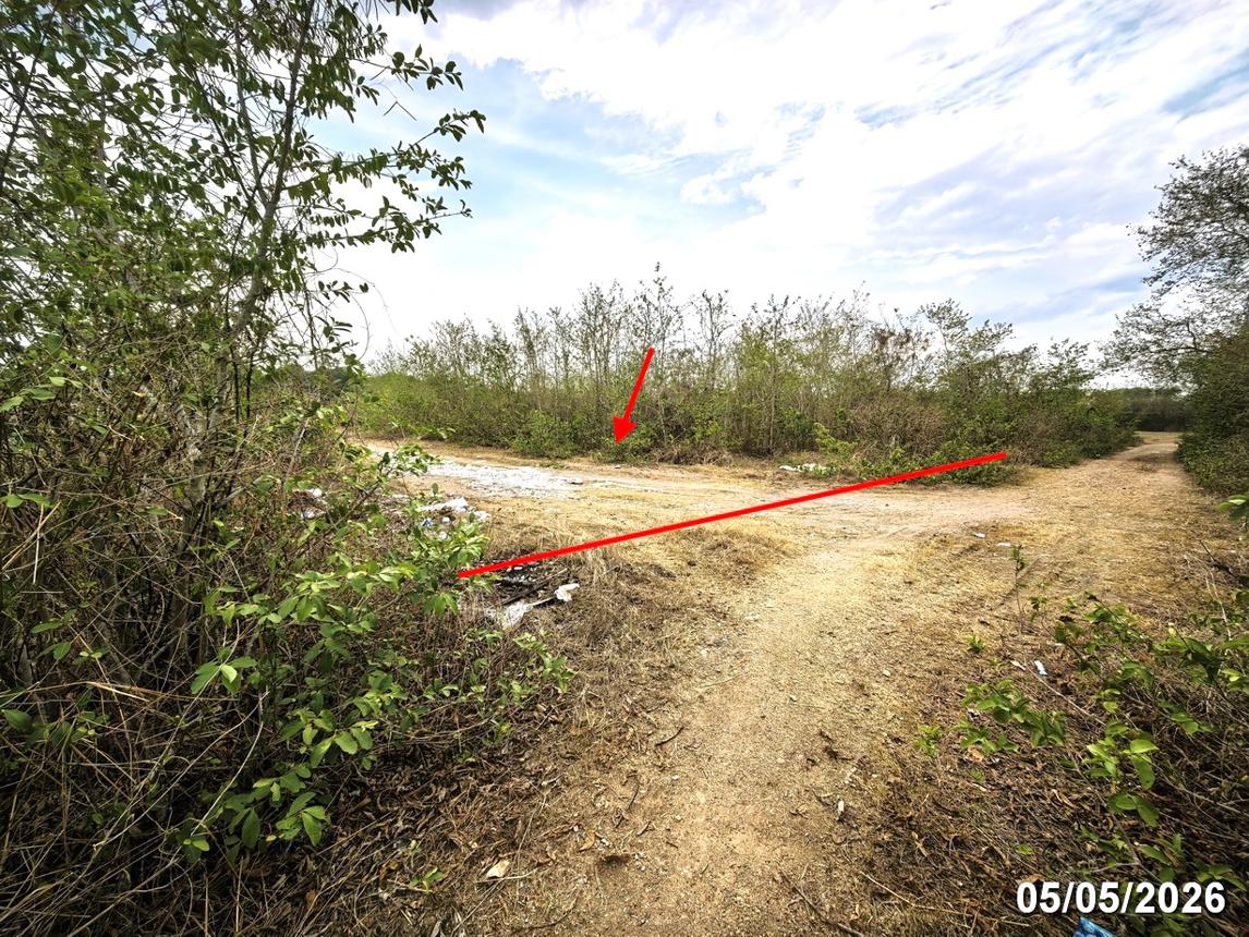 picture LAND 1299 Sq.w. San Pa Tong Chiang Mai for 1.5M - 8/16