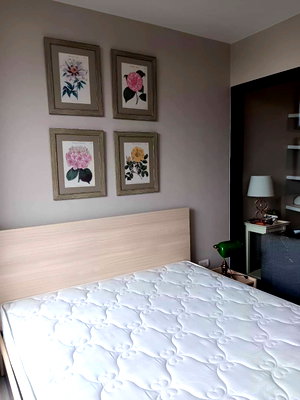 Condos for rent Maya Chiang Mai : 🔥 Room for RENT! at Palm Springs Nimman Areca Condominium - in Nimman area near to 7-11, University, Supermarke, Cafe, Maya Shopping Mall and etc
