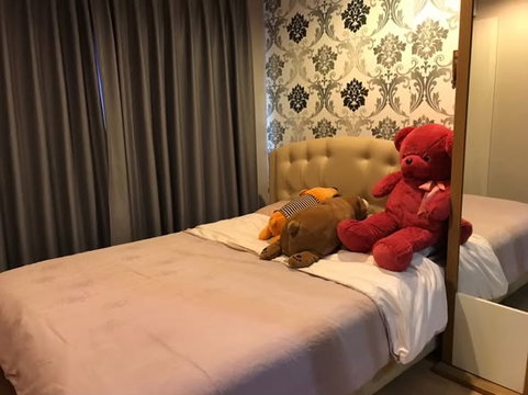 🦋RB24908 ให้เช่าถูกมาก📢ลุมพินี วิลล์ ประชาชื่น - พงษ์เพชร 2👉แอดไลน์ @714txlxc( มี @ ด้วย) แอดมินตอบไว