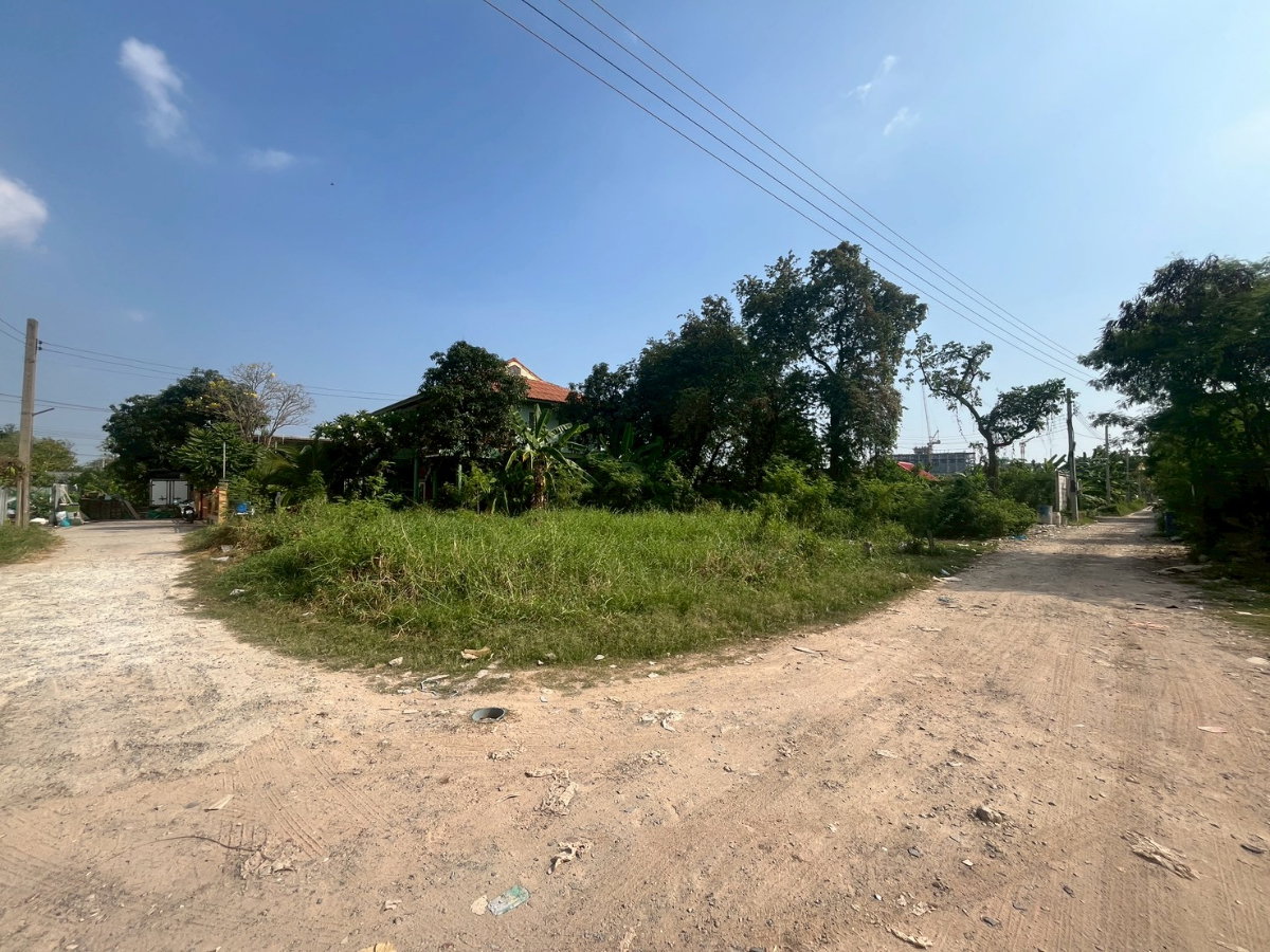 picture ⭐✨LA-001 Land for Sale – 50 sq.wah (Suan Phak 32)✨⭐ - 5/5