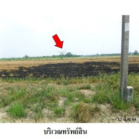 รูป Z3A0708 ขายที่ดิน ตำบล บางพลีน้อย อำเภอ บางบ่อ จังหวัด สมุทรปราการ - รูปที่ 8/8