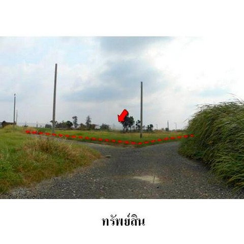 picture FOR SALE LAND PROPERTY 2680000 BAHT. - 6/8