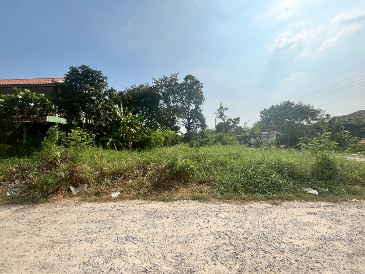 picture ⭐✨LA-001 Land for Sale – 50 sq.wah (Suan Phak 32)✨⭐ - 1/5
