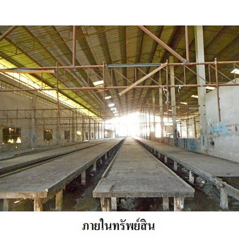 รูป Z2T0491 ขายโกดัง / โรงงาน แขวง หนองแขม เขต หนองแขม จังหวัด กรุงเทพมหานคร - รูปที่ 6/8