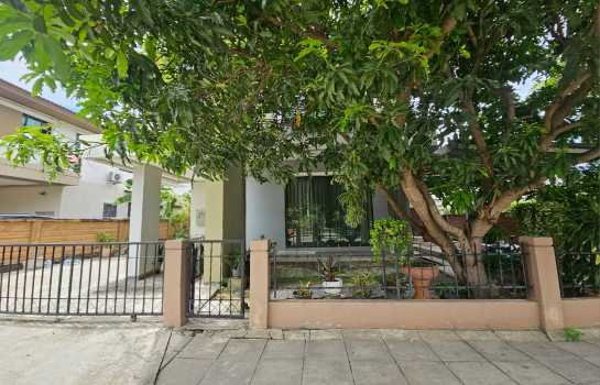 รูป ขาย บ้านเดี่ยว หลังมุม ติดสนามหญ้า Habitia Ratchapruek 130 ตรม 50 ตรว ร่มรื่น น่าอยู่ - รูปที่ 4/9