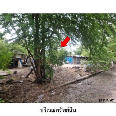 รูป Z4T0939 ขายที่ดิน หมู่บ้าน/โครงการ หมู่บ้านกรีนเลค ตำบล คลองราชาเทวะ อำเภอ บางพลี จังหวัด สมุทรปราการ - รูปที่ 5/8