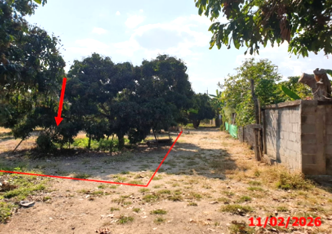 picture LAND 803 Sq.w. Wieng Nong long Lamphun for 1.2M - 3/14