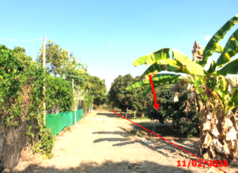 picture LAND 803 Sq.w. Wieng Nong long Lamphun for 1.2M - 11/14