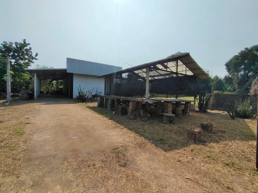 picture Call : 080-154-2361 Land For Sale - 3/13