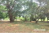listing thumbnail image 17