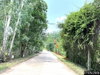 listing thumbnail image 19