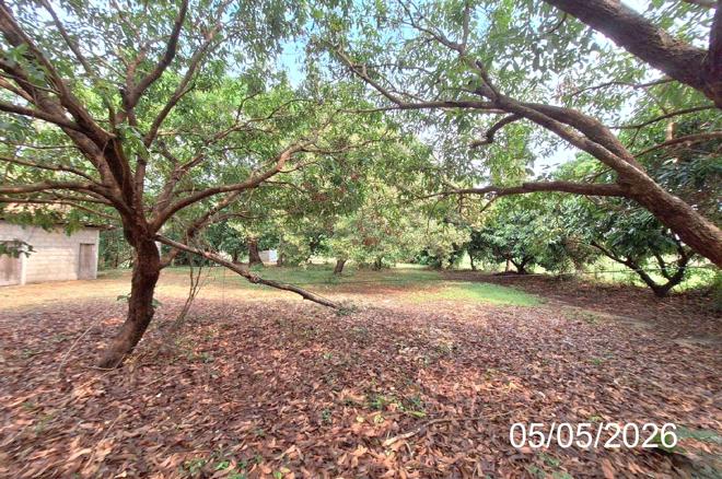 รูป บ้านเดี่ยว 642.3 ตร.วา เมืองลำปาง ลำปาง 1.5M - รูปที่ 7/24