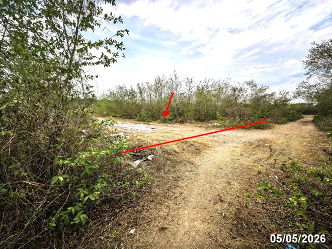 picture LAND 1299 Sq.w. San Pa Tong Chiang Mai for 1.5M - 2/16