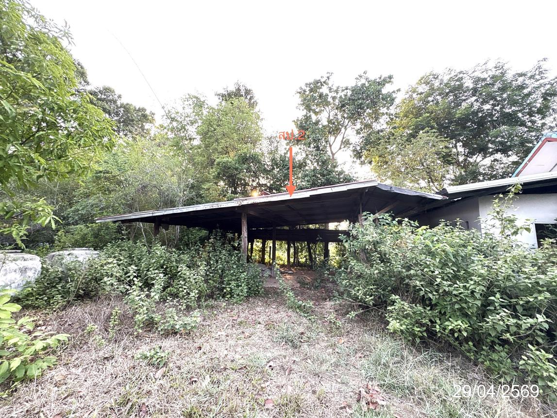 รูป บ้านเดี่ยว 680 ตร.วา เมืองอำนาจเจริญ อำนาจเจริญ 1.7M - รูปที่ 24/30